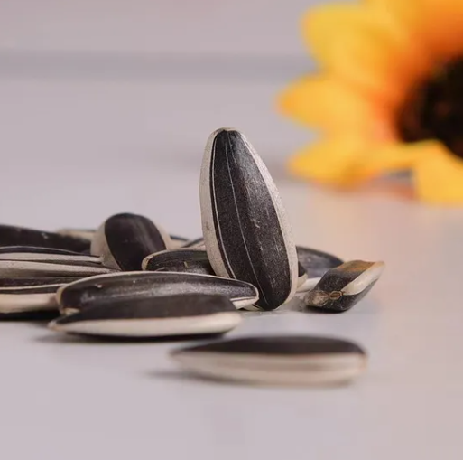 Крупные высококачественные черные семена подсолнечника Синьцзян 361, оптом из Китая 44 2 Подсолнечные семечки