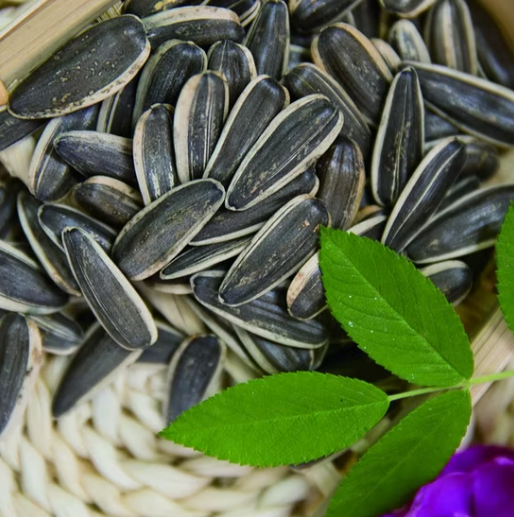 Семена подсолнечника 361 происхождением из Внутренней Монголии, Китай 44 20 Подсолнечные семечки