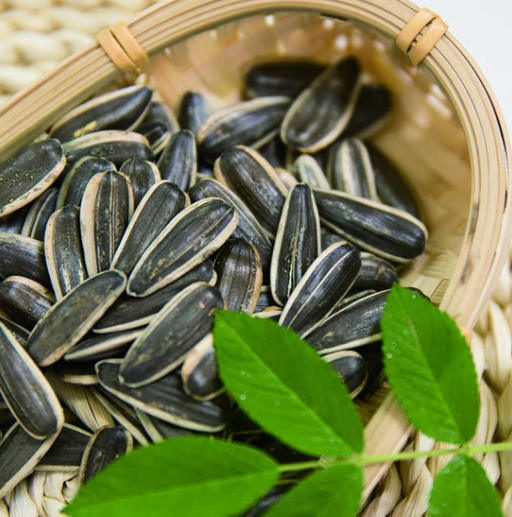 Семена подсолнечника 361 урожая 2025 года по низкой цене, выгодно для оптовых закупок 44 21 Подсолнечные семечки