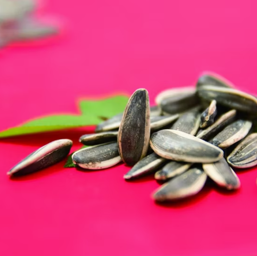 Хит продаж! Семена подсолнечника 361 пищевого качества 44 33 Подсолнечные семечки