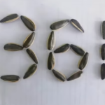Хит продаж! Семена подсолнечника 361 из Внутренней Монголии 44 37 Подсолнечные семечки