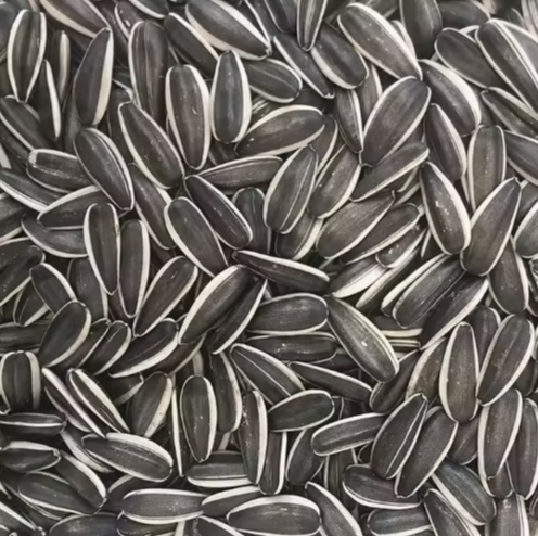 Фермер китайской фабрики имеет новый урожай семян подсолнечника сорта 361 44 39 Подсолнечные семечки