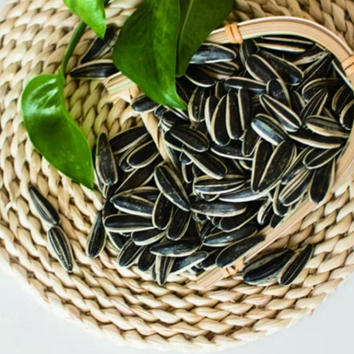 Крупные полосатые сырые семечки подсолнечника 601, удлинённой формы 44 43 Новости