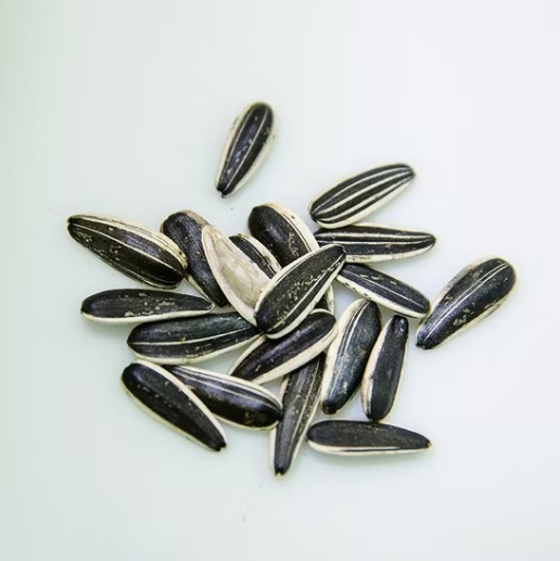 Китайские мелкие семечки подсолнечника 601 урожая 2025 года по низкой цене 44 47 Подсолнечные семечки