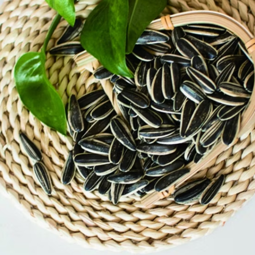 Оптовые поставки крупных премиальных ядер семечек подсолнечника 601 из Внутренней Монголии 44 53 Подсолнечные семечки