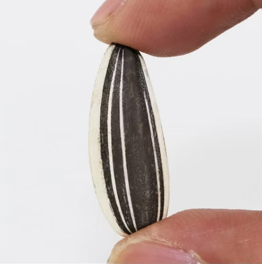 Крупные сырые семечки подсолнечника 601 из Китая 44 58 Новости