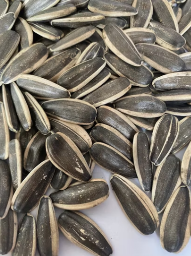 Семечки подсолнечника 363 нового урожая 2025 года из Внутренней Монголии 44 59 Подсолнечные семечки