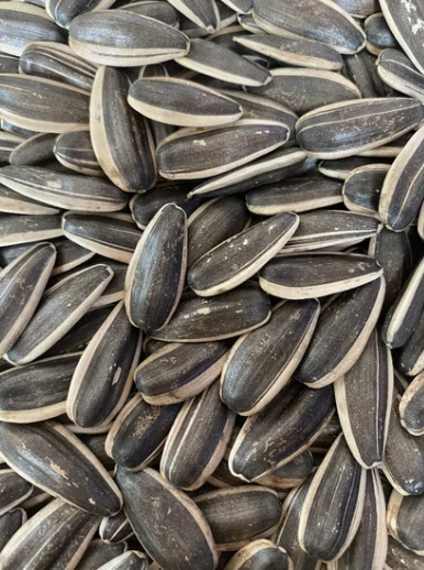 Оптовые крупные высококачественные чёрные семечки подсолнечника 363 из китайского Синьцзяна 44 60 Подсолнечные семечки