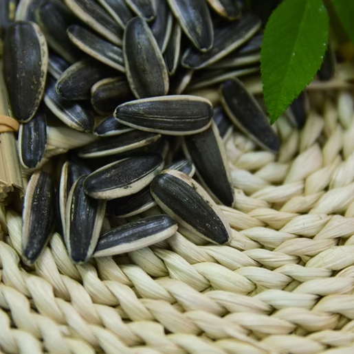 Длинные чёрные семечки подсолнечника T6 нового урожая 2025 года 44 68 Подсолнечные семечки