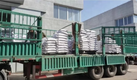 Высококачественные новые органические ядра семян подсолнечника типа 361/T6, гибридные, крупная фасовка, ГМО-свободные, для пищевой и сельскохозяйственной отрасли, Внутренняя Монголия, Китай 55 111 Подсолнечные семечки