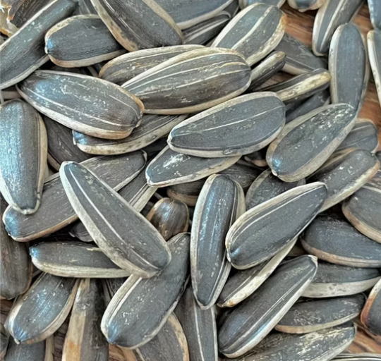 Премиальный вкус, семечки подсолнечника 361 нового урожая 2025 года 55 112 Подсолнечные семечки