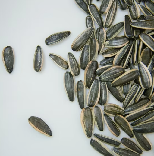 Искренне приглашаем агентов. Заводские низкие цены. Длинный тип семян подсолнечника 361 55 14 Подсолнечные семечки