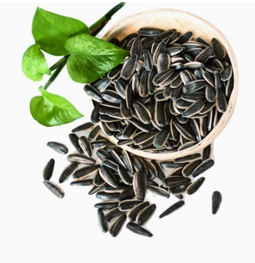 Семена подсолнечника 361 нового урожая 2025 года из Внутренней Монголии, в продаже 55 18 Подсолнечные семечки