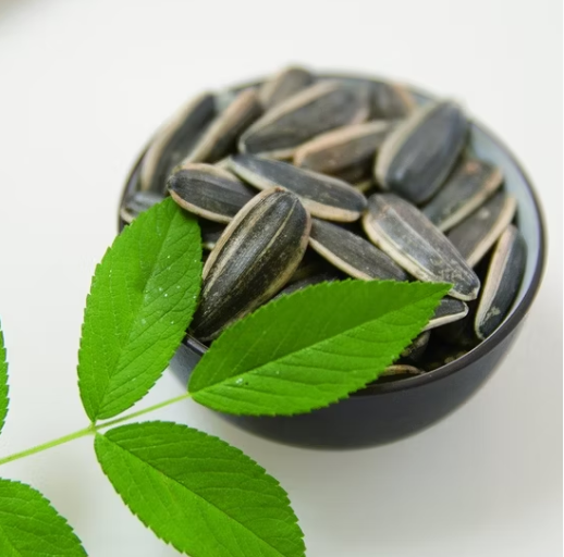 Семена подсолнечника 361 высшего сорта, урожай 2025 года 55 19 Подсолнечные семечки