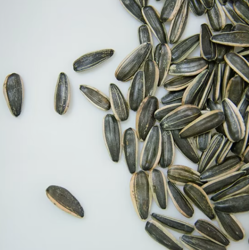 Семена подсолнечника урожая 2025 года, сырьё. Китайские оптовые семена подсолнечника 361 55 22 Подсолнечные семечки