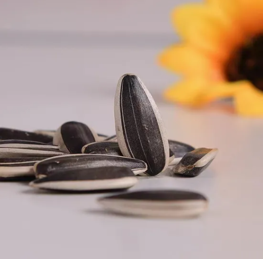 Семена подсолнечника 361 для переработки — низкая цена и высокое качество от завода в Китае 55 3 Подсолнечные семечки