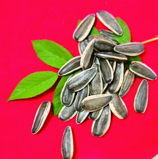 Хит продаж! Семена подсолнечника 361 пищевого качества 55 33 Подсолнечные семечки