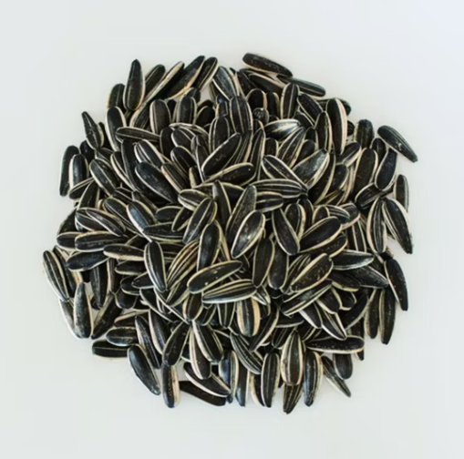 Семечки подсолнечника нового урожая 2025 года из Внутренней Монголии, сорт 601 55 42 Подсолнечные семечки