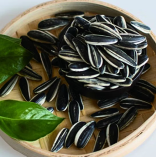 Крупные полосатые сырые семечки подсолнечника 601, удлинённой формы 55 45 Подсолнечные семечки