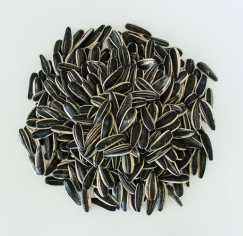 Оптовая цена на ядра семечек подсолнечника 601, недорогие семечки 55 46 Подсолнечные семечки