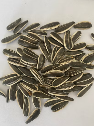 Китайские семечки подсолнечника 601 премиального качества 55 52 Подсолнечные семечки