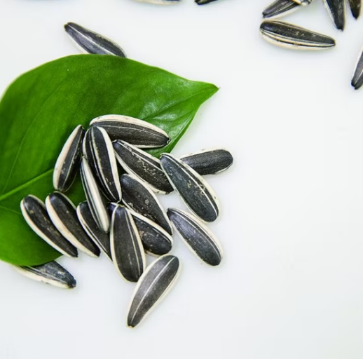 Сырые натуральные семечки подсолнечника 601 нового урожая 2025 года по самой низкой цене 55 58 Подсолнечные семечки