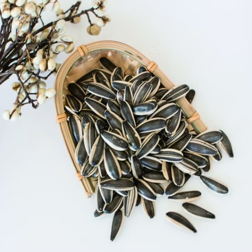 Оптовые поставки из Китая: новые крупные семечки подсолнечника 363 урожая 2025 года 55 62 Подсолнечные семечки