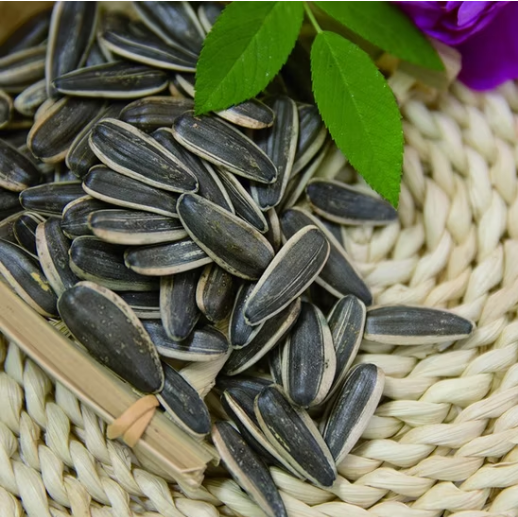 Длинные чёрные семечки подсолнечника T6 нового урожая 2025 года 55 69 Подсолнечные семечки