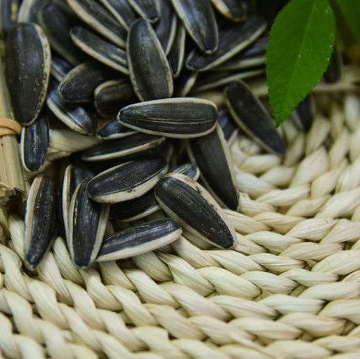 Высококачественные семечки подсолнечника происхождения Внутренняя Монголия, спецификация T6 55 70 Подсолнечные семечки