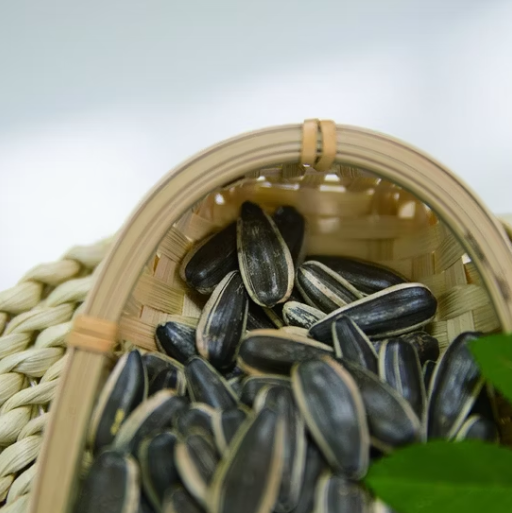 Оптовые поставки семечек подсолнечника T6 нового урожая: низкая цена, высокое качество, без ГМО, масличный сорт 55 74 Подсолнечные семечки