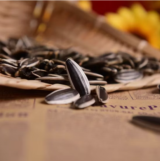 Китайские ядра семечек подсолнечника T5 нового урожая, высшее качество, оптовые поставки. Справочная цена FOB: узнать актуальную цену 55 77 Подсолнечные семечки