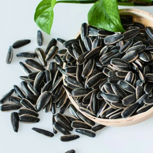 На продажу семечки подсолнечника 361 китайского происхождения по конкурентной цене 55 8 Подсолнечные семечки