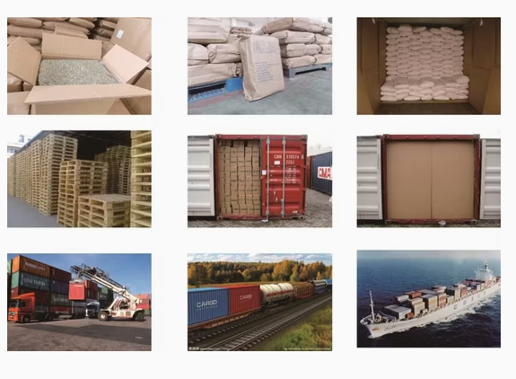 Семечки подсолнечника и ядра для снеков из Внутренней Монголии 55 87 Подсолнечные семечки