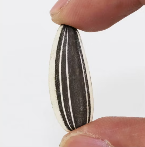 Полезные черные масличные семена подсолнечника 361 из Китая, крупного размера, сырого типа 66 2 Новости