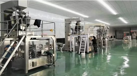 Дешёвые китайские семена подсолнечника T6 66 6 Подсолнечные семечки