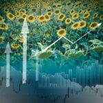Купить семена подсолнечника оптом из Китая – цена от производителя 2026 111 Новости