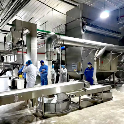Наша продукция 1 Семена подсолнечника 361