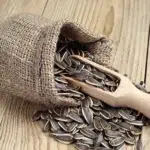 Сырые семена подсолнечника оптом из Китая 123 Новости