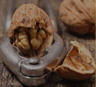 Walnut 185 with a thin shell 2 1