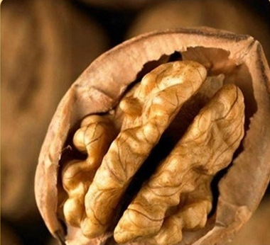 Walnut 185 with a thin shell 4