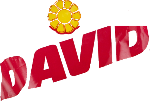 DAVID Seeds — логотип бренда